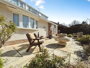 Photo 41- click for photo gallery